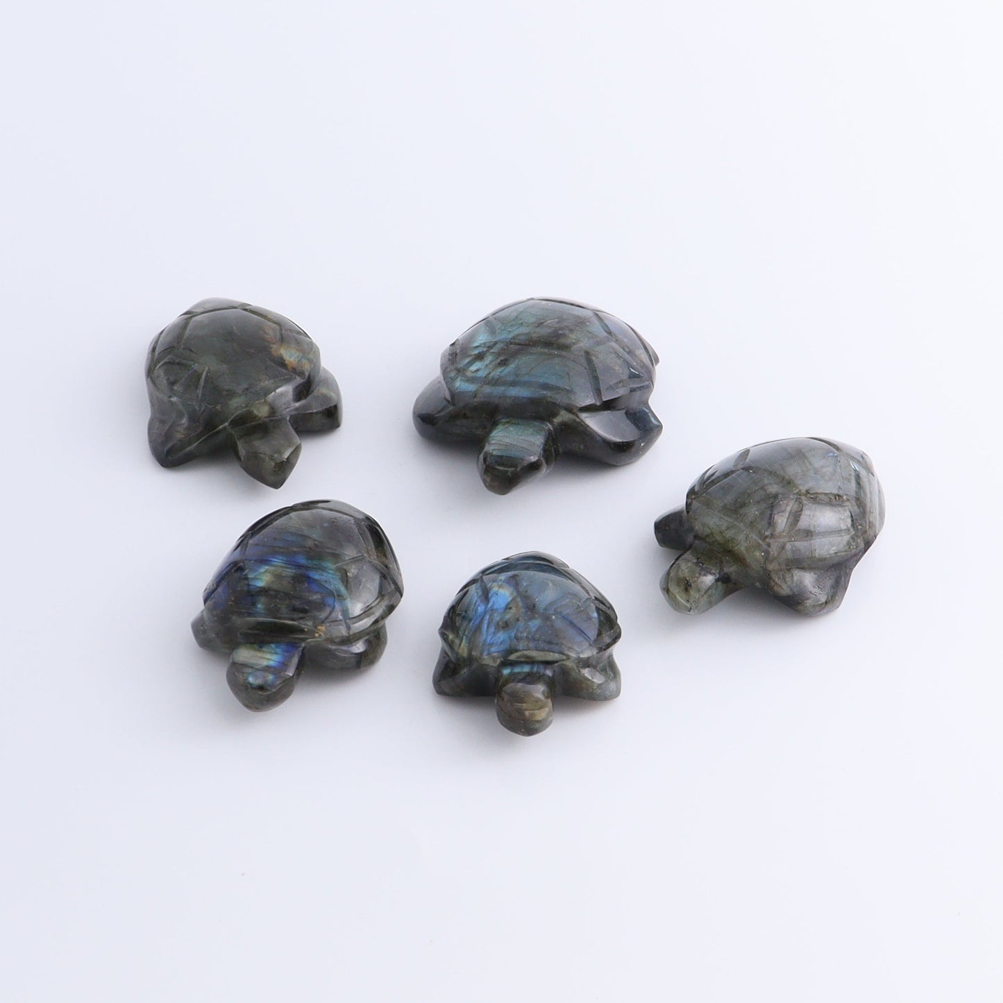 Labradorite Turtles Set of 5