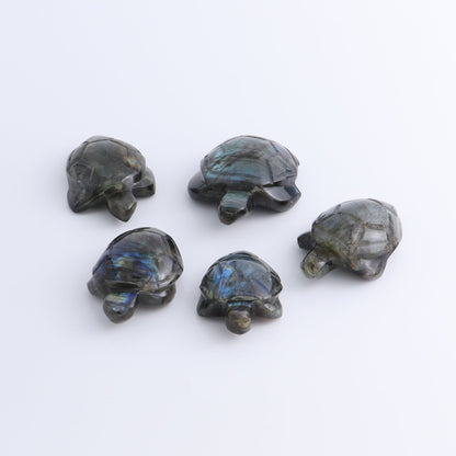 Labradorite Turtles Set of 5