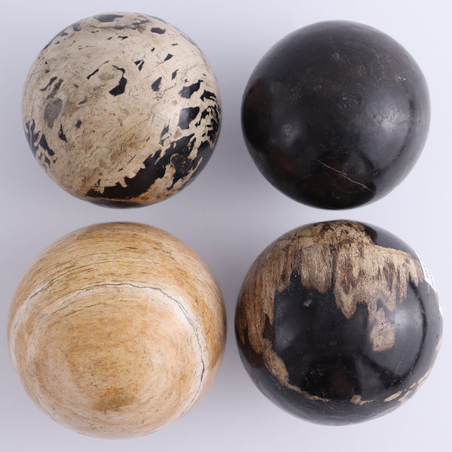 Petrified Wood Spheres Set of 4 - Expert Wholesale and Supplier of Wholesale Crystals & Bulk Gemstones, ["Indonesia","Petrified Wood","Spheres"]