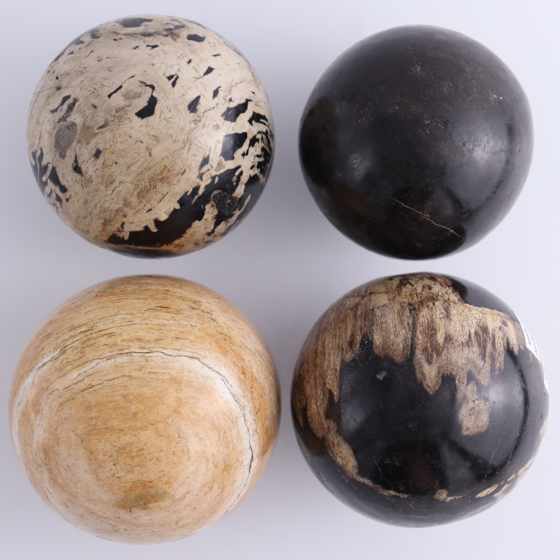 Petrified Wood Spheres Set of 4 - Expert Wholesale and Supplier of Wholesale Crystals & Bulk Gemstones, ["Indonesia","Petrified Wood","Spheres"]
