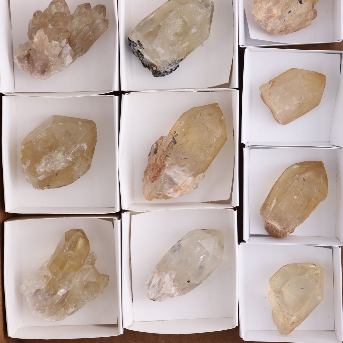 Congo Citrine Set of 12 - Expert Wholesale and Supplier of Wholesale Crystals & Bulk Gemstones, ["Citrine","Congo","Rough","Roughs"]