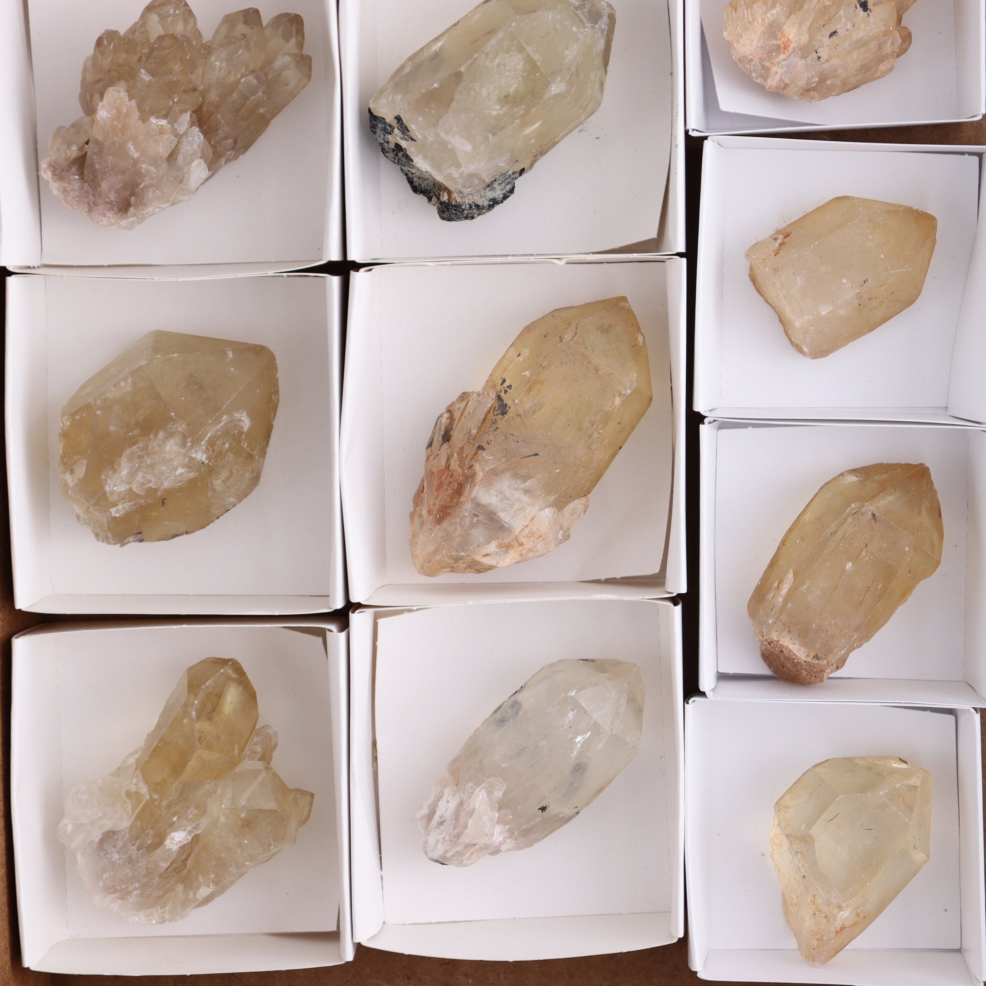 Congo Citrine Set of 12 - Expert Wholesale and Supplier of Wholesale Crystals & Bulk Gemstones, ["Citrine","Congo","Rough","Roughs"]
