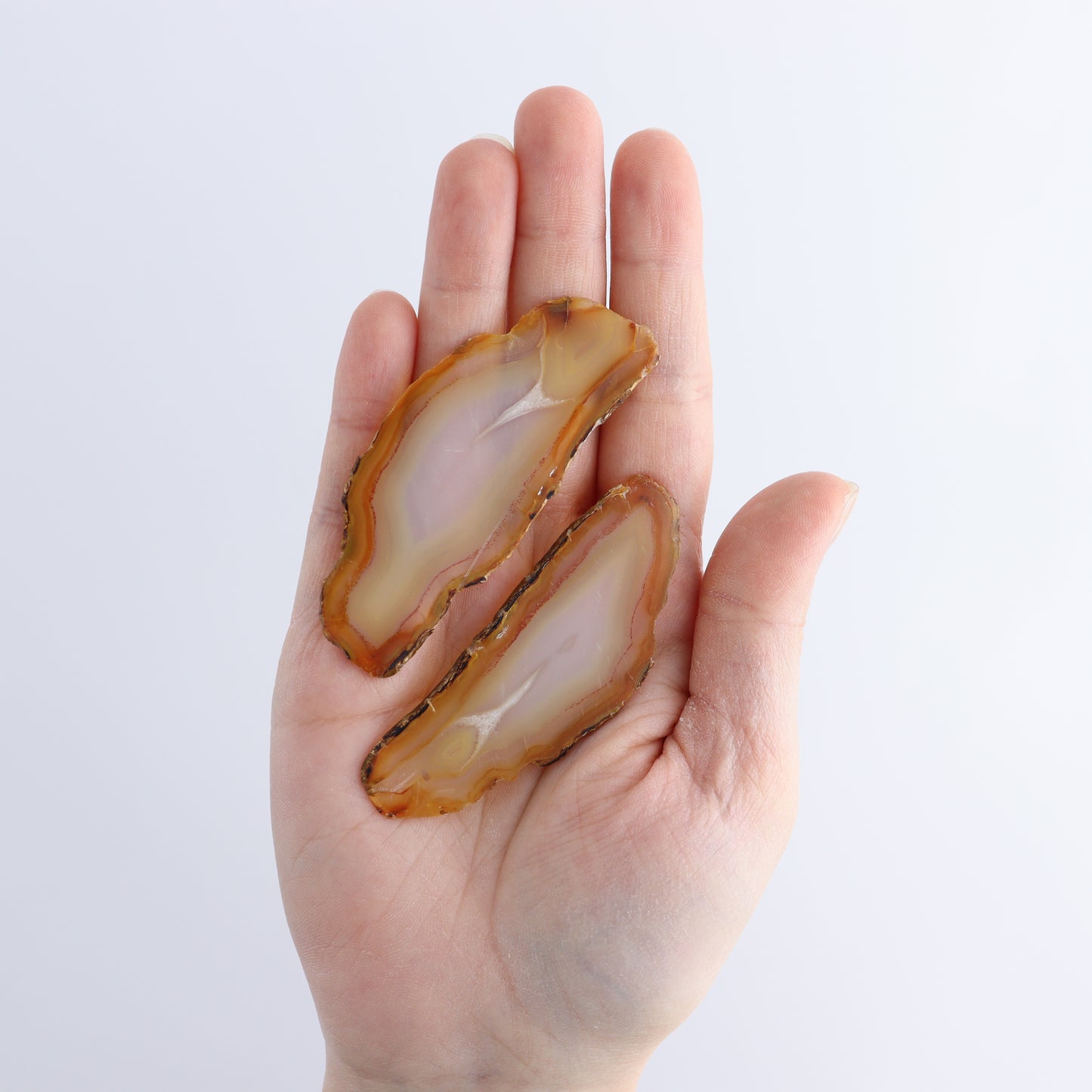 Iris Agate Slices Set of 5 - Expert Wholesale and Supplier of Wholesale Crystals & Bulk Gemstones, ["Agate","Iris Agate","Slices and Slabs"]