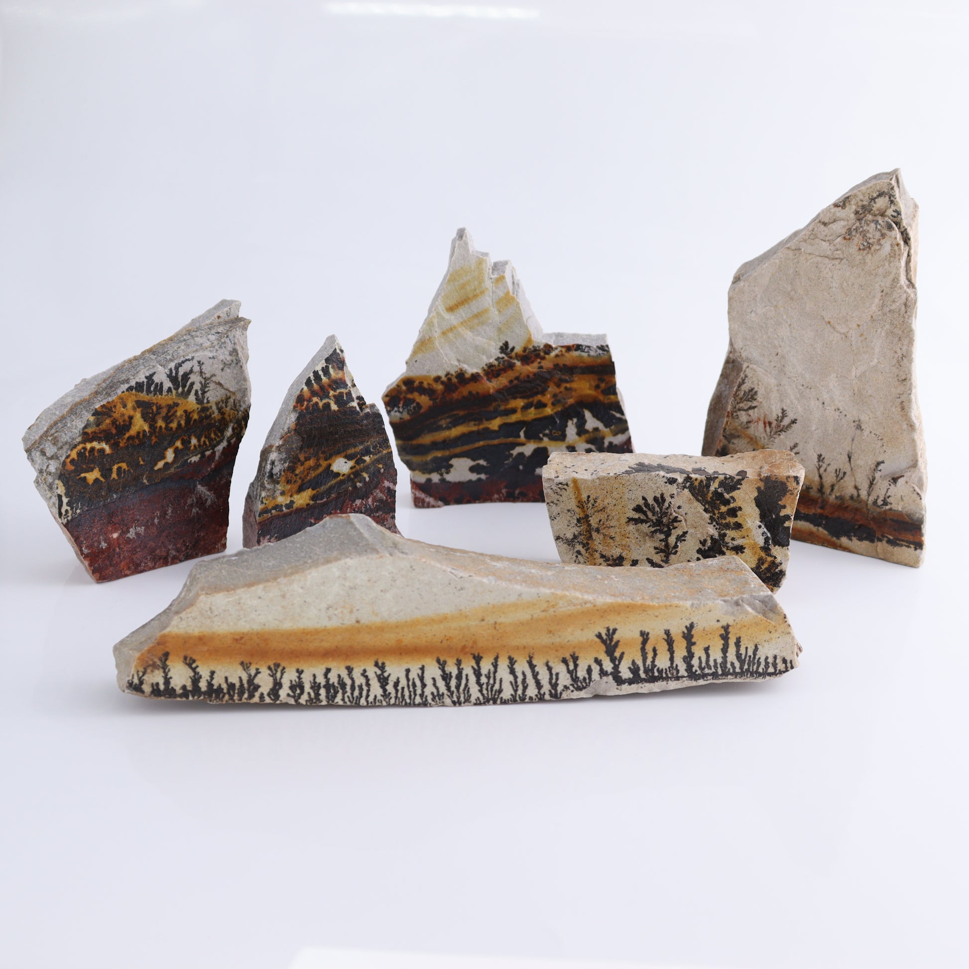 Dendrites Flat Set of 6 - Expert Wholesale and Supplier of Wholesale Crystals & Bulk Gemstones, ["Dendrite","Flats"]