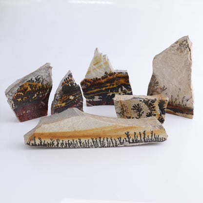 Dendrites Flat Set of 6 - Expert Wholesale and Supplier of Wholesale Crystals & Bulk Gemstones, ["Dendrite","Flats"]