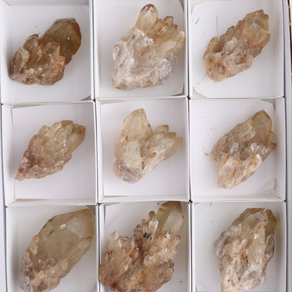 Congo Citrine Set of 12