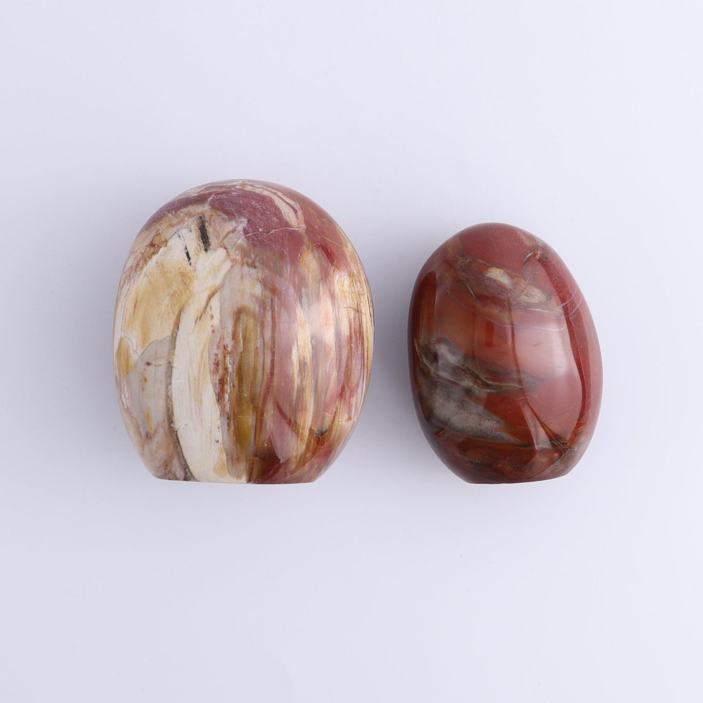 Petrified Wood Freeforms Set of 6 - Expert Wholesale and Supplier of Wholesale Crystals & Bulk Gemstones, ["Freeform","Freeforms","Madagascar","Petrified Wood"]