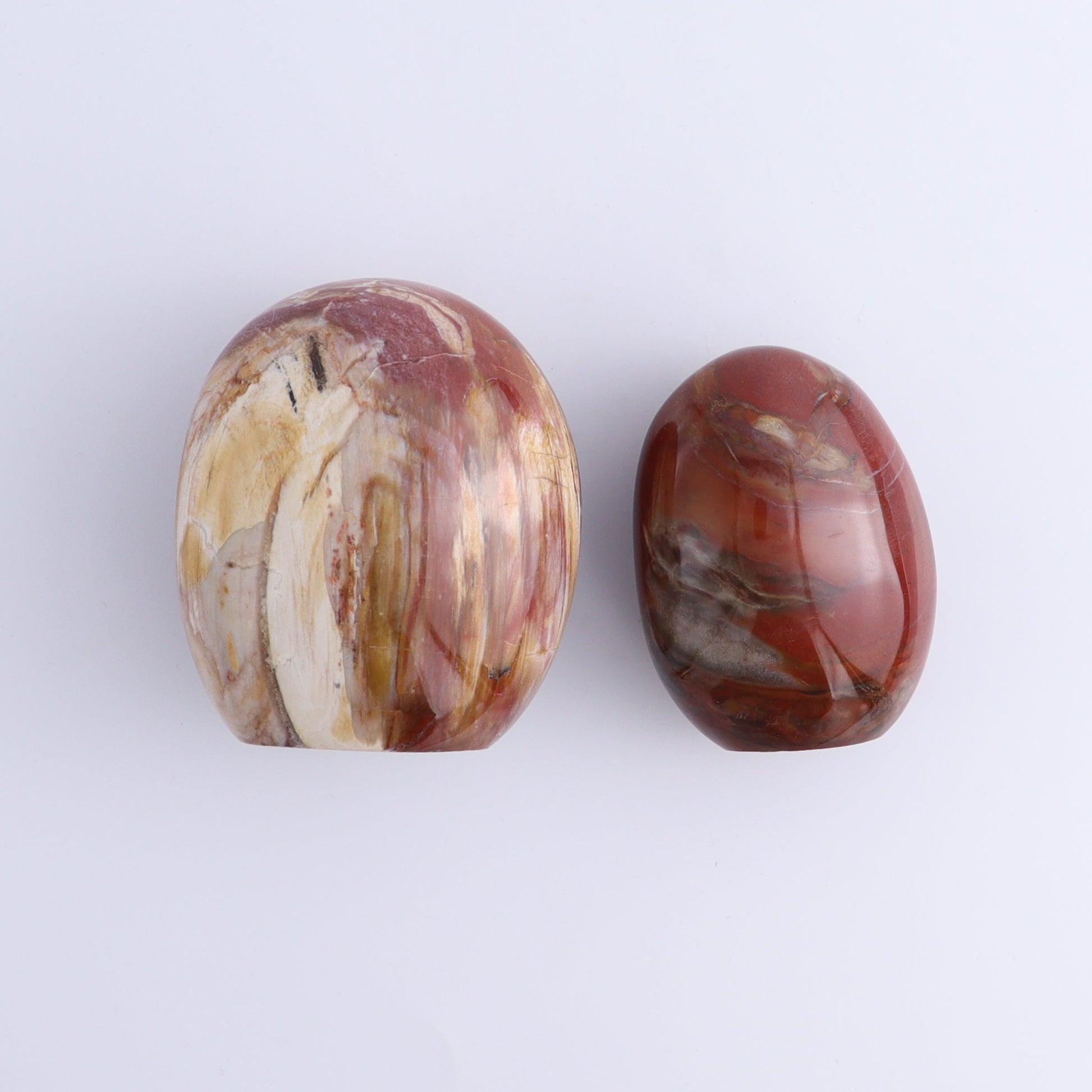 Petrified Wood Freeforms Set of 6 - Expert Wholesale and Supplier of Wholesale Crystals & Bulk Gemstones, ["Freeform","Freeforms","Madagascar","Petrified Wood"]