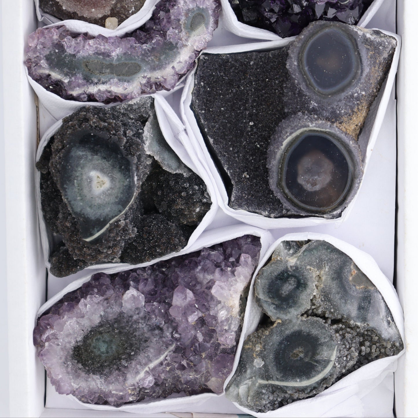 Uruguay Amethyst Clusters with "Eyes" Flat of 7 - Expert Wholesale and Supplier of Wholesale Crystals & Bulk Gemstones, ["Amethyst","Amethyst Eyes","Clusters","Uruguay"]