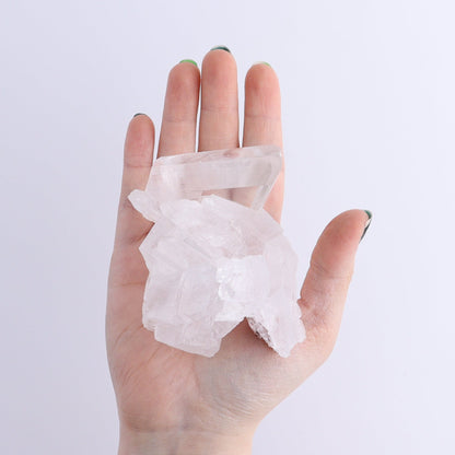 Naica Selenite Flat Set of 5 - Expert Wholesale and Supplier of Wholesale Crystals & Bulk Gemstones, ["Naica Selenite","selenite"]