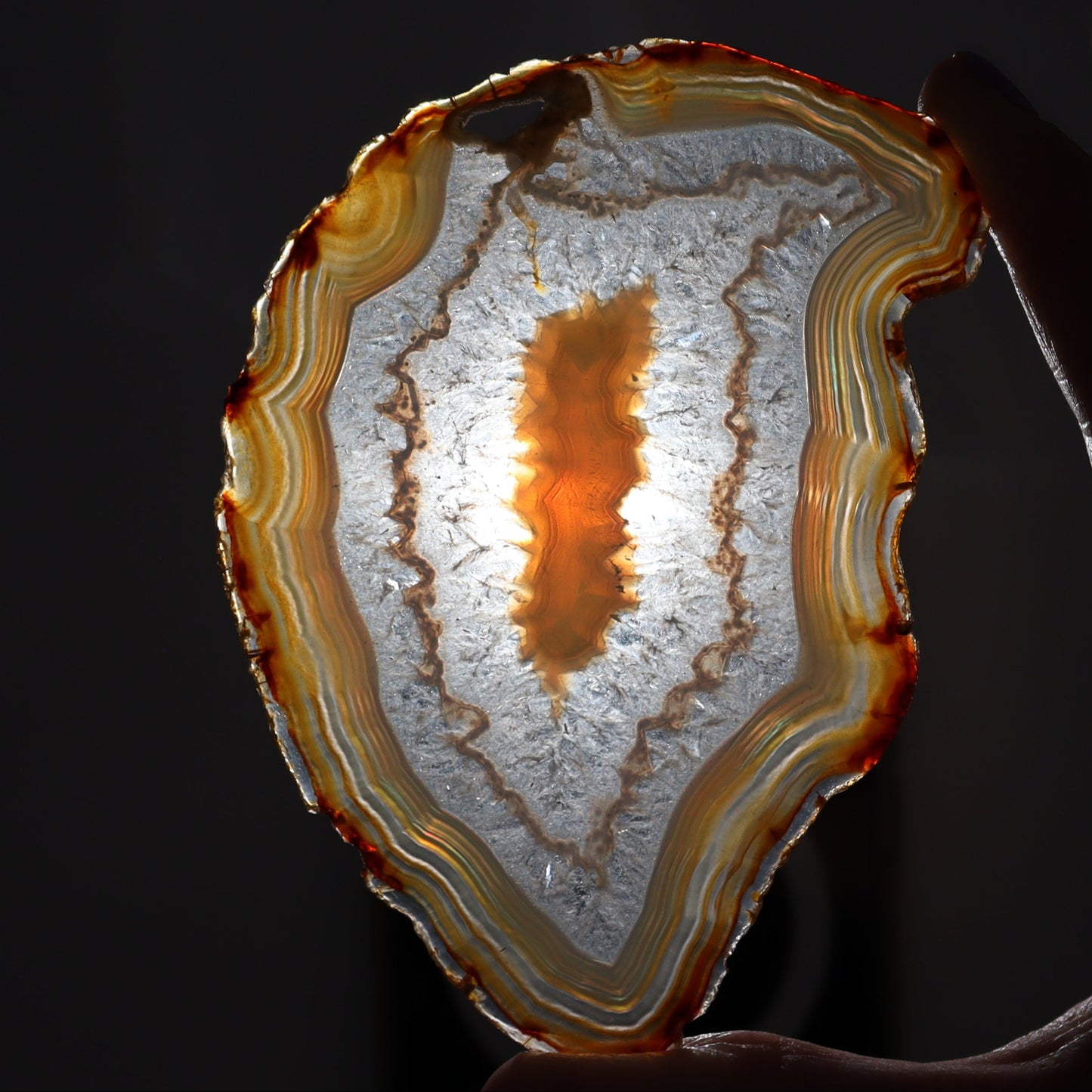 Iris Agate Slices Set of 6 - Expert Wholesale and Supplier of Wholesale Crystals & Bulk Gemstones, ["Agate","Iris Agate","Slices and Slabs"]