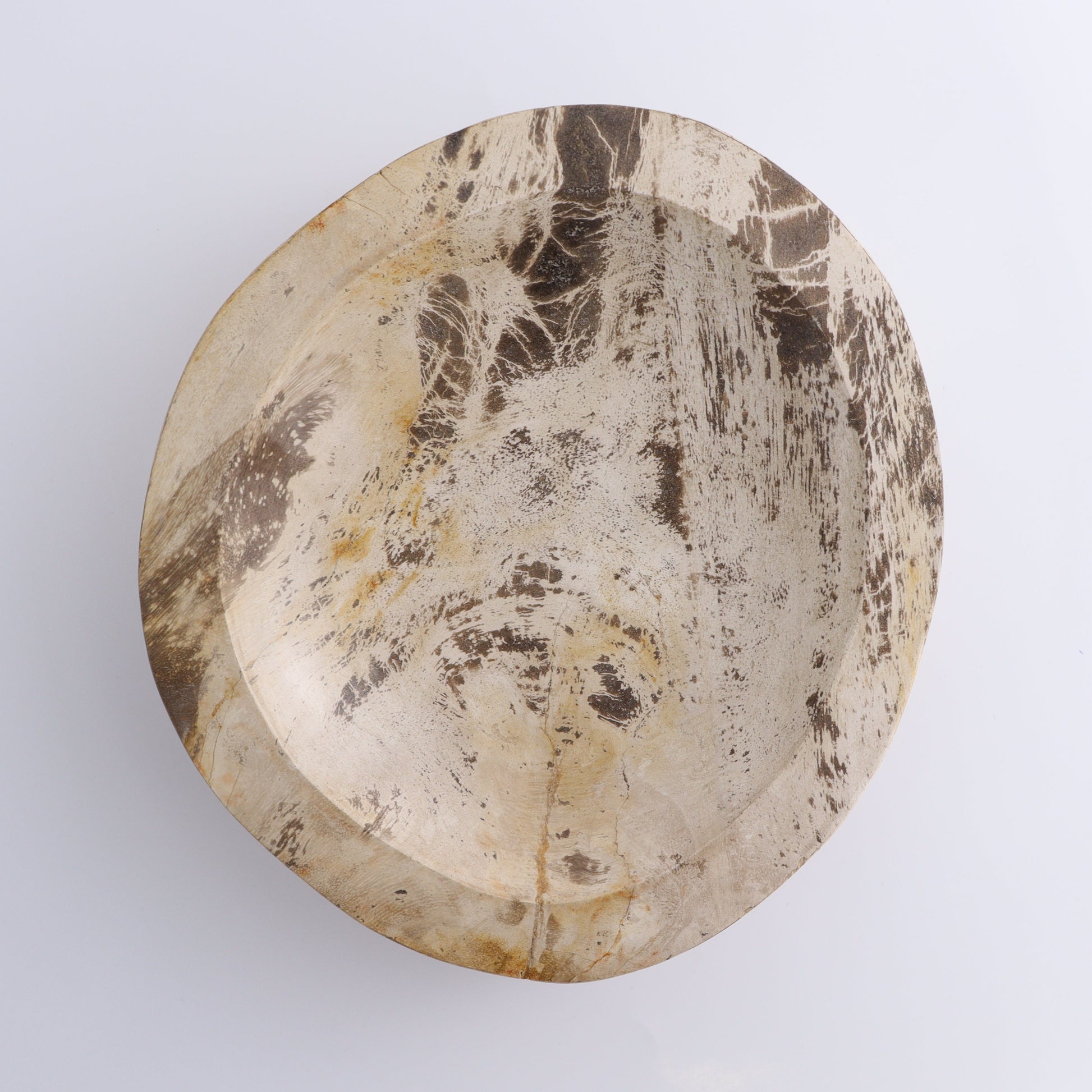 Petrified Wood Bowl - Expert Wholesale and Supplier of Wholesale Crystals & Bulk Gemstones, ["Bowls","Indonesia","Petrified Wood"]