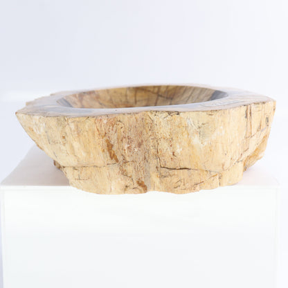 Petrified Wood Bowls Set of 2 - Expert Wholesale and Supplier of Wholesale Crystals & Bulk Gemstones, ["Bowls","Indonesia","Petrified Wood"]
