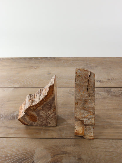 Petrified Wood Bookends - Expert Supplier of Wholesale Crystals & Bulk Gemstones