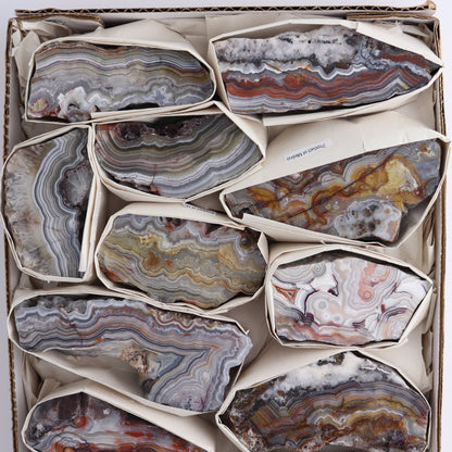 Crazy Lace Agate Flat of 12