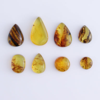 Chiapas Mexico Amber Cabs Set of 8 - Expert Wholesale and Supplier of Wholesale Crystals & Bulk Gemstones, ["Amber","Cabs","Chiapas Amber","Mexico"]
