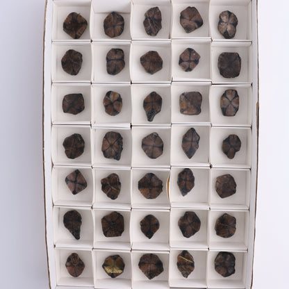 Chiastolite Flat of 35 - Expert Wholesale and Supplier of Wholesale Crystals & Bulk Gemstones, ["chiastolite","China","flat","Flats"]