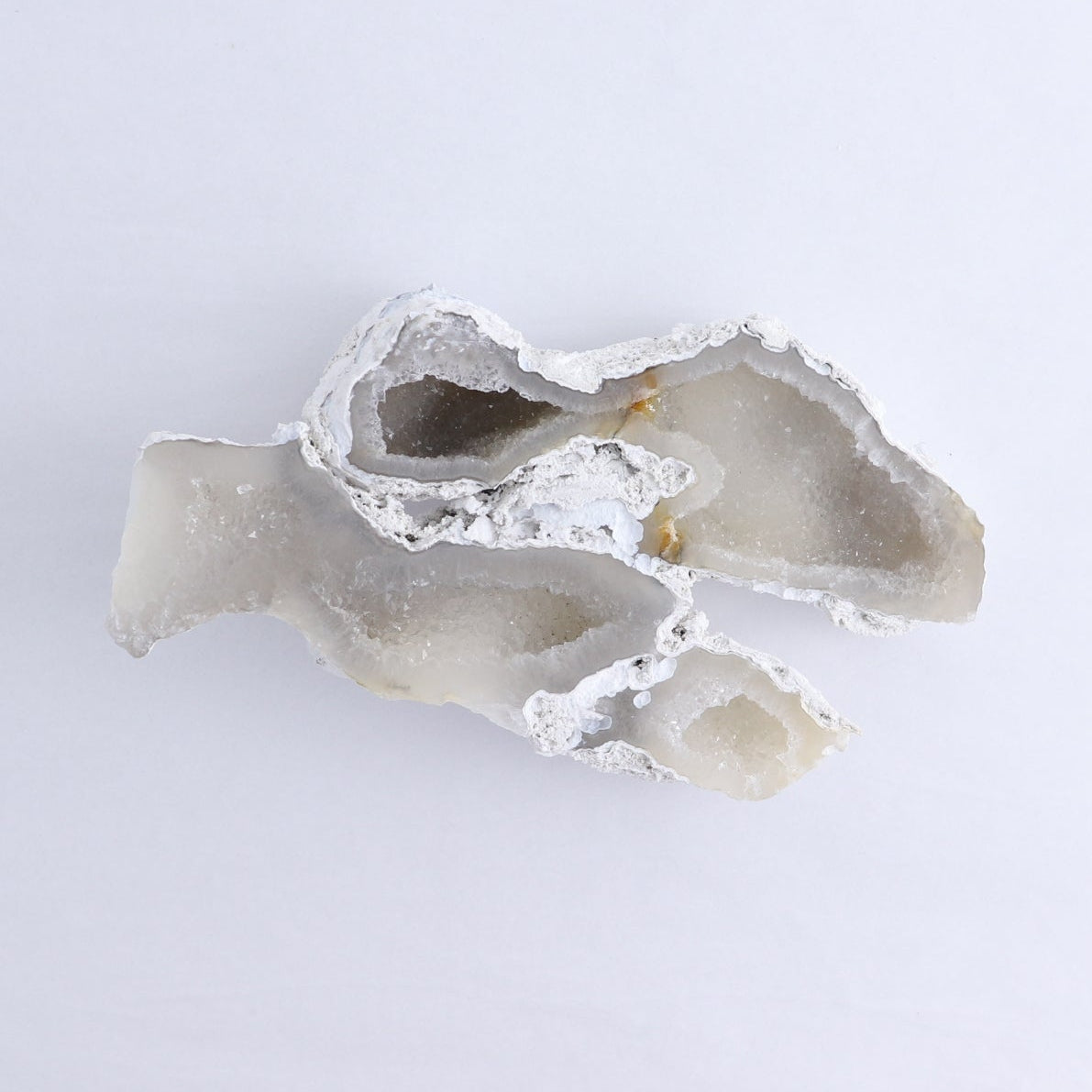 Agatized Coral Set of 3
