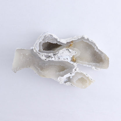 Agatized Coral Set of 3