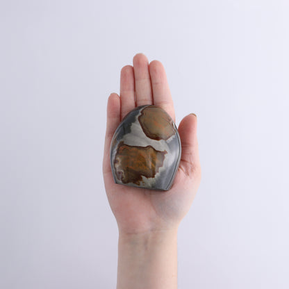 Polychrome Jasper Freeforms Set of 5 - Expert Wholesale and Supplier of Wholesale Crystals & Bulk Gemstones, ["jasper","Madagascar","Polychrome Jasper"]