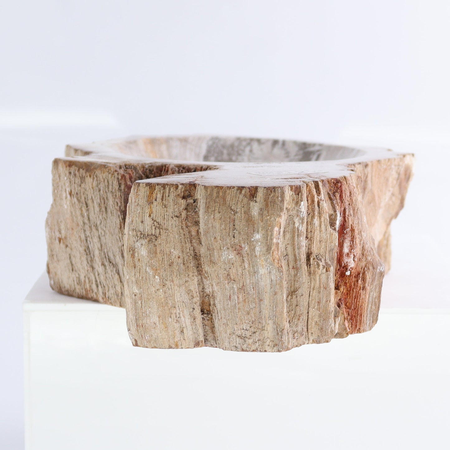 Petrified Wood Bowls Set of 2