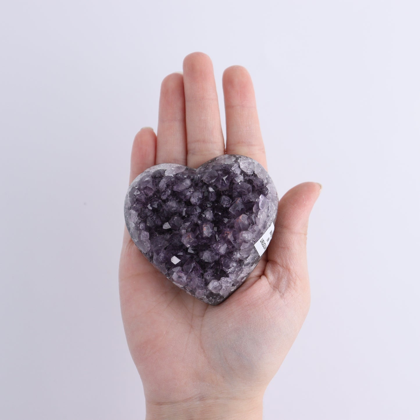 Uruguay Amethyst Hearts Set of 6 - Expert Wholesale and Supplier of Wholesale Crystals & Bulk Gemstones, ["Amethyst","Hearts","Uruguay"]