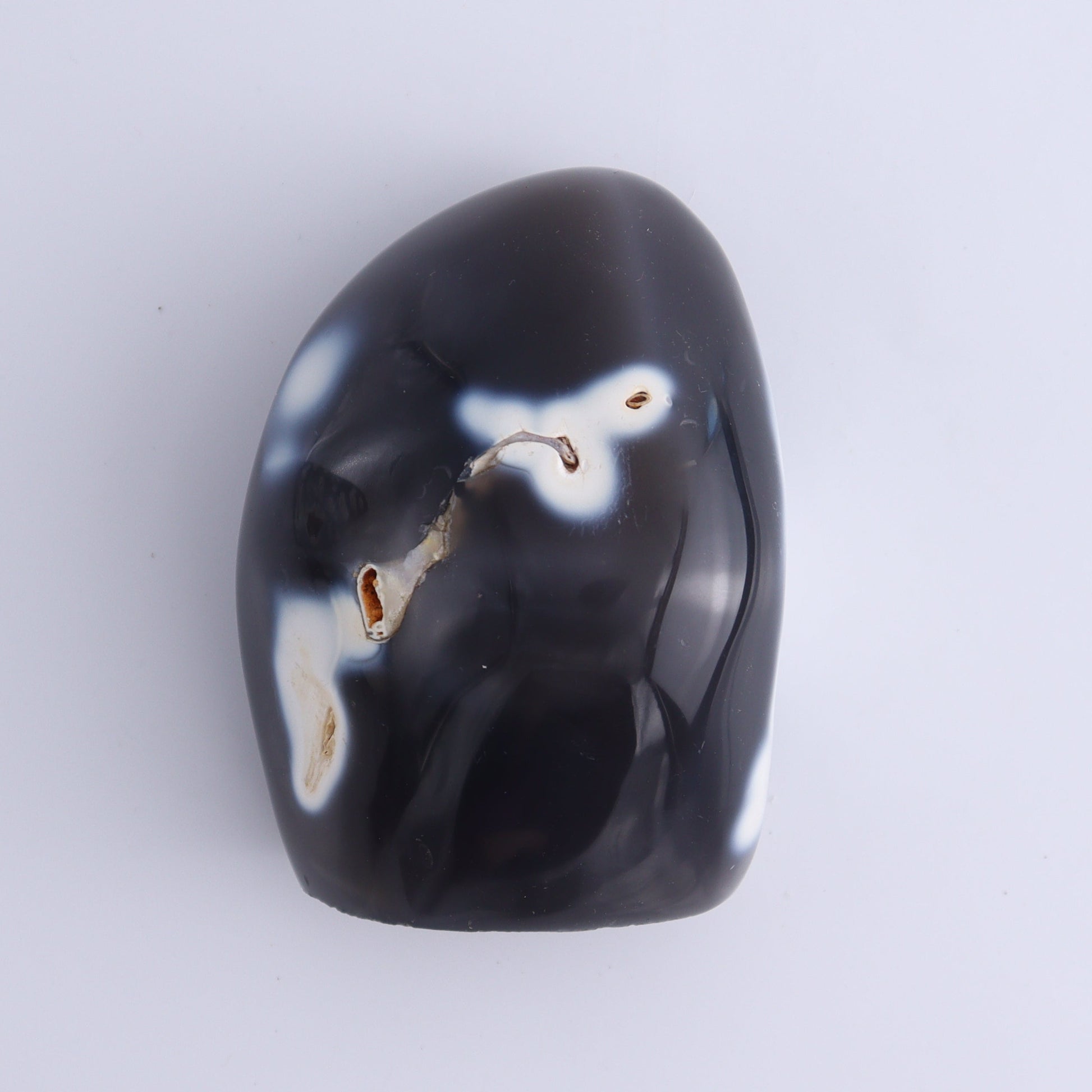 Orca Agate Freeform Set of 5 - Expert Wholesale and Supplier of Wholesale Crystals & Bulk Gemstones, ["close_30","Freeforms","Madagascar","Orca Agate"]