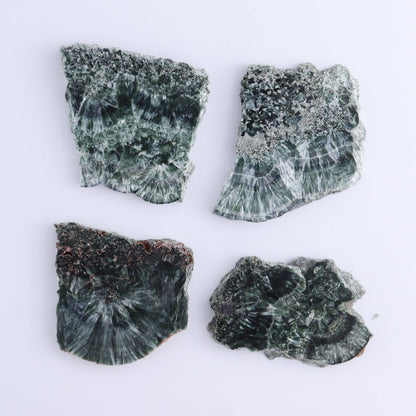 Seraphinite Slices Set of 12 - Expert Wholesale and Supplier of Wholesale Crystals & Bulk Gemstones, ["Russia","Seraphinite","Slices and Slabs"]