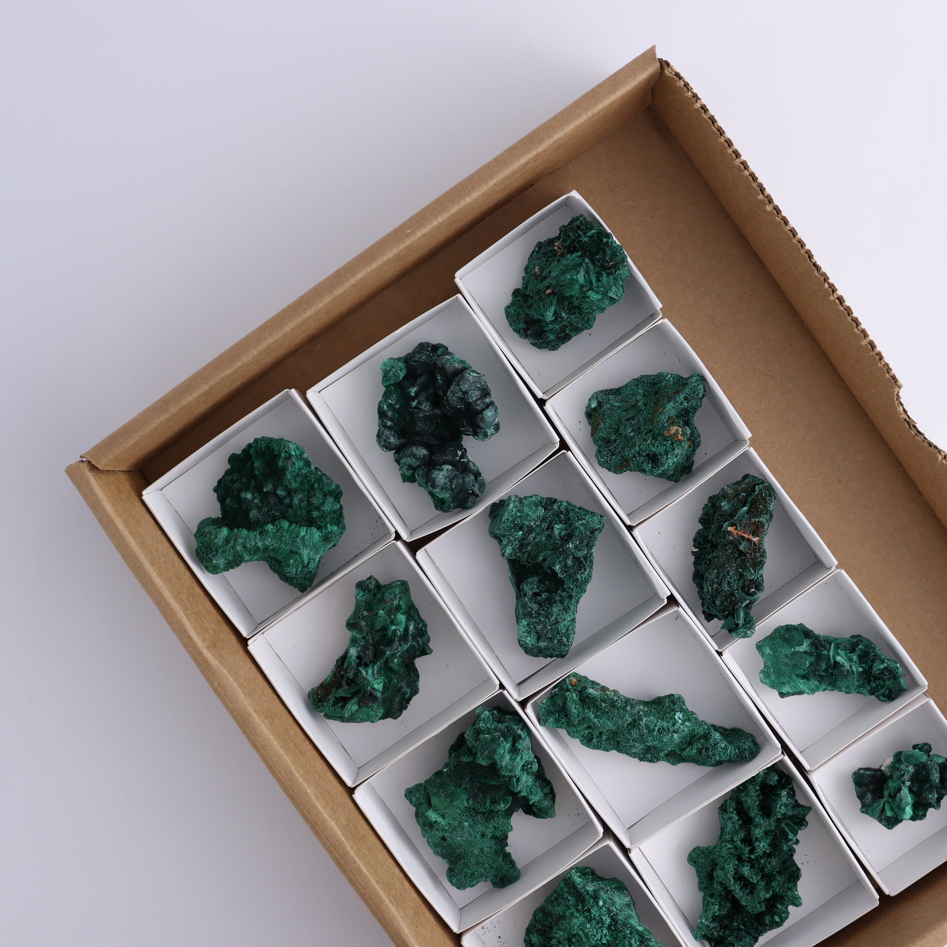 Malachite Freeforms Set of 13 - Expert Wholesale and Supplier of Wholesale Crystals & Bulk Gemstones, ["Freeform","Malachite","South Africa"]