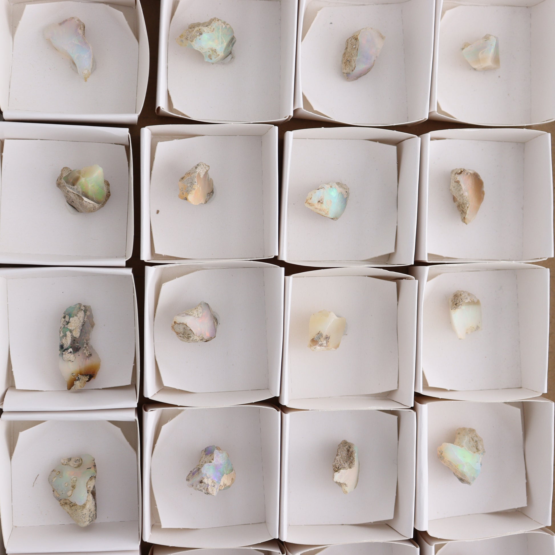 Ethiopian Opal Set of 24 - Expert Wholesale and Supplier of Wholesale Crystals & Bulk Gemstones, ["Ethiopia","ethiopian opal","Opal"]