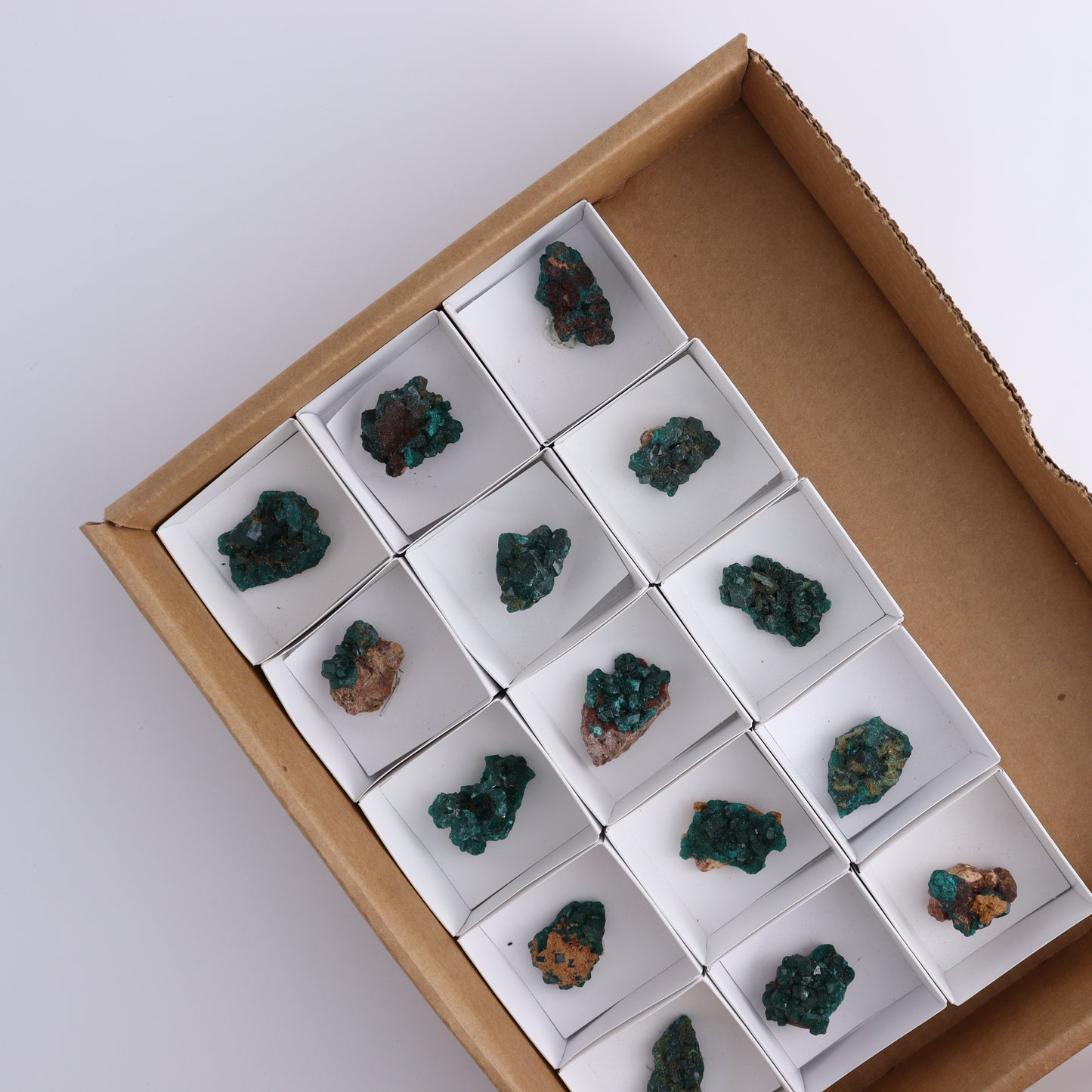 Dioptase Set of 15 - Expert Wholesale and Supplier of Wholesale Crystals & Bulk Gemstones, ["dioptase","Freeform","Freeforms"]