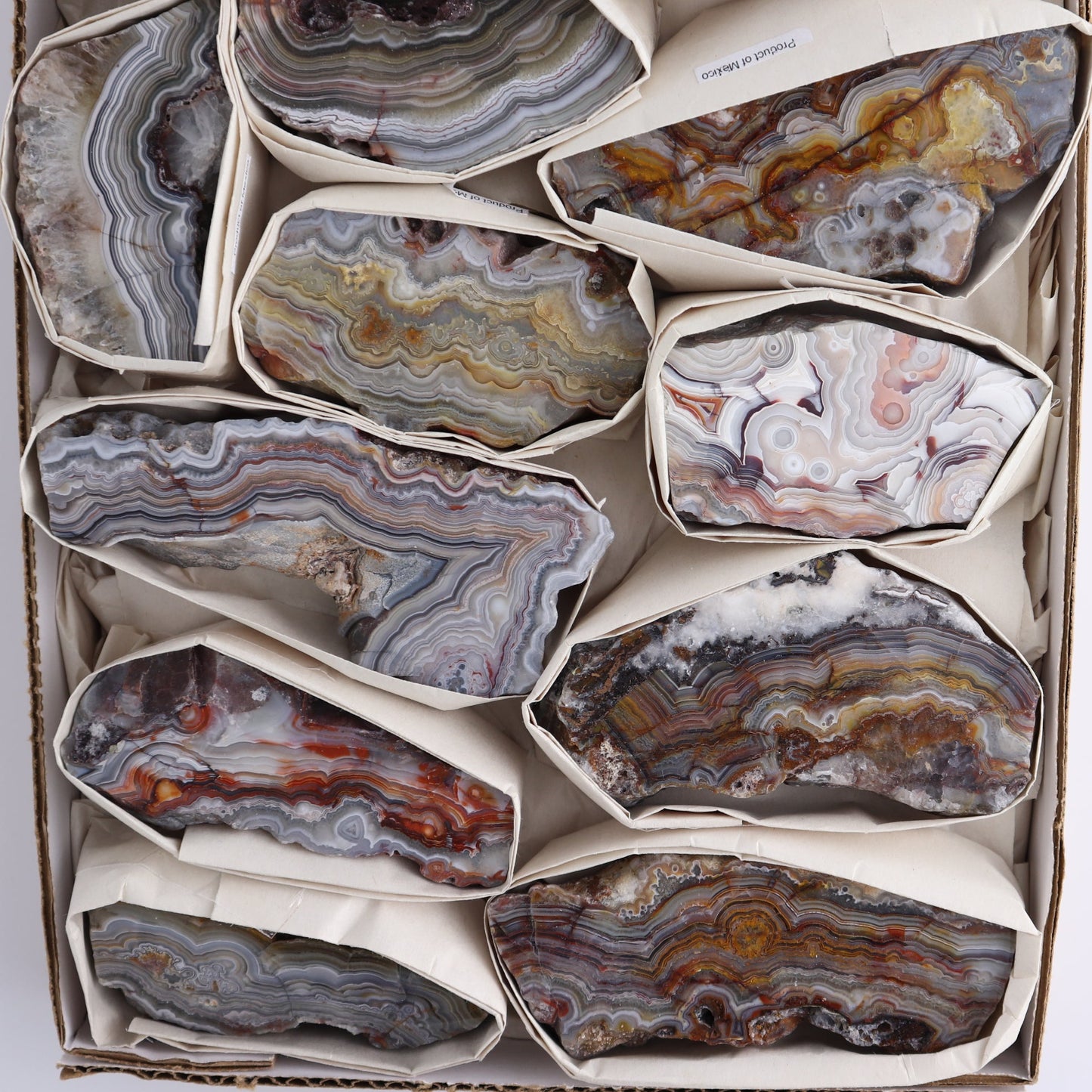 Crazy Lace Agate Flat of 12