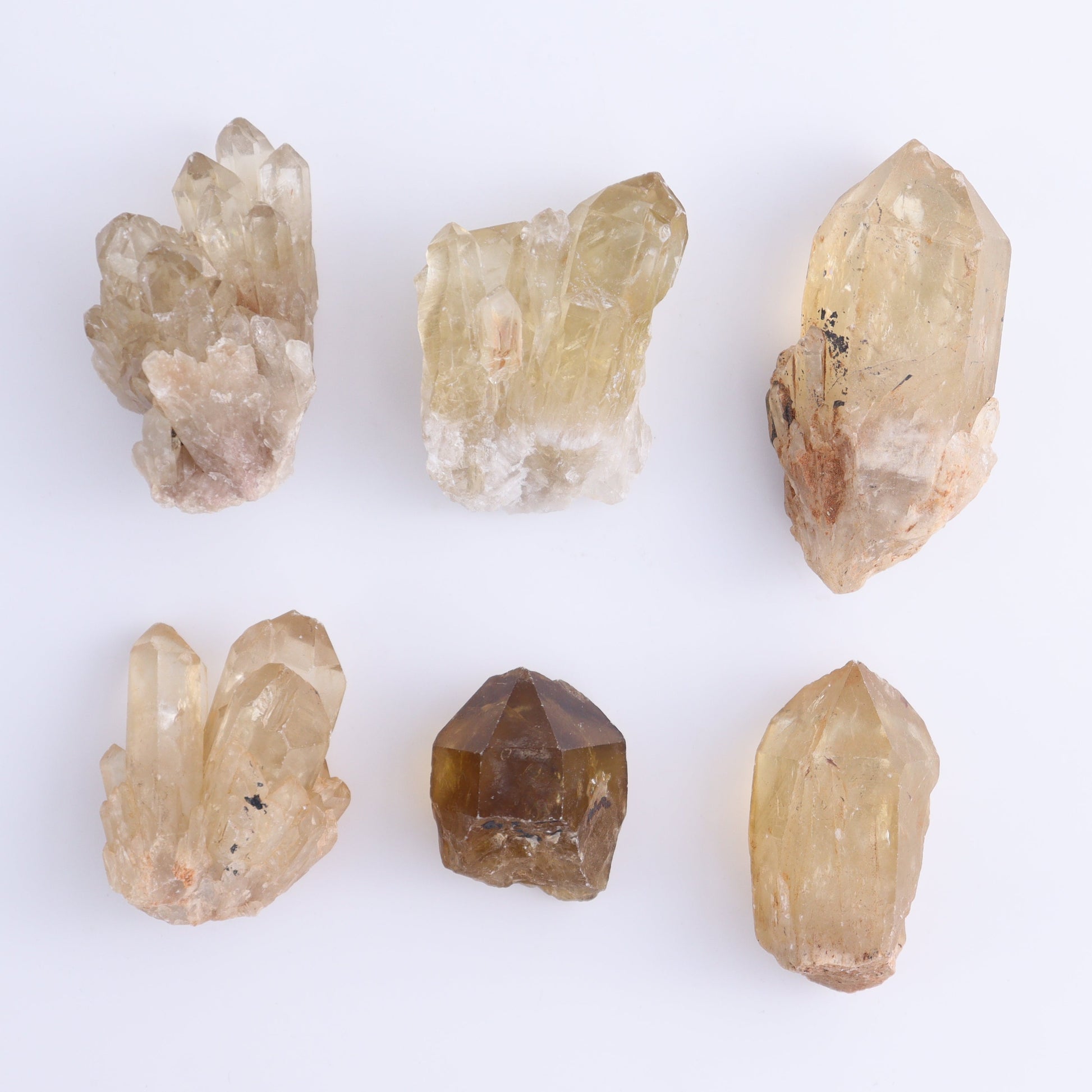 Congo Citrine Set of 12 - Expert Wholesale and Supplier of Wholesale Crystals & Bulk Gemstones, ["Citrine","Congo","Rough","Roughs"]