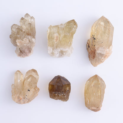 Congo Citrine Set of 12 - Expert Wholesale and Supplier of Wholesale Crystals & Bulk Gemstones, ["Citrine","Congo","Rough","Roughs"]