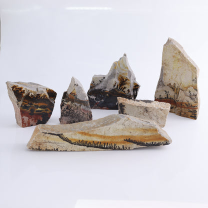 Dendrites Flat Set of 6 - Expert Wholesale and Supplier of Wholesale Crystals & Bulk Gemstones, ["Dendrite","Flats"]