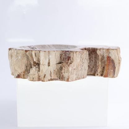 Petrified Wood Bowls Set of 2