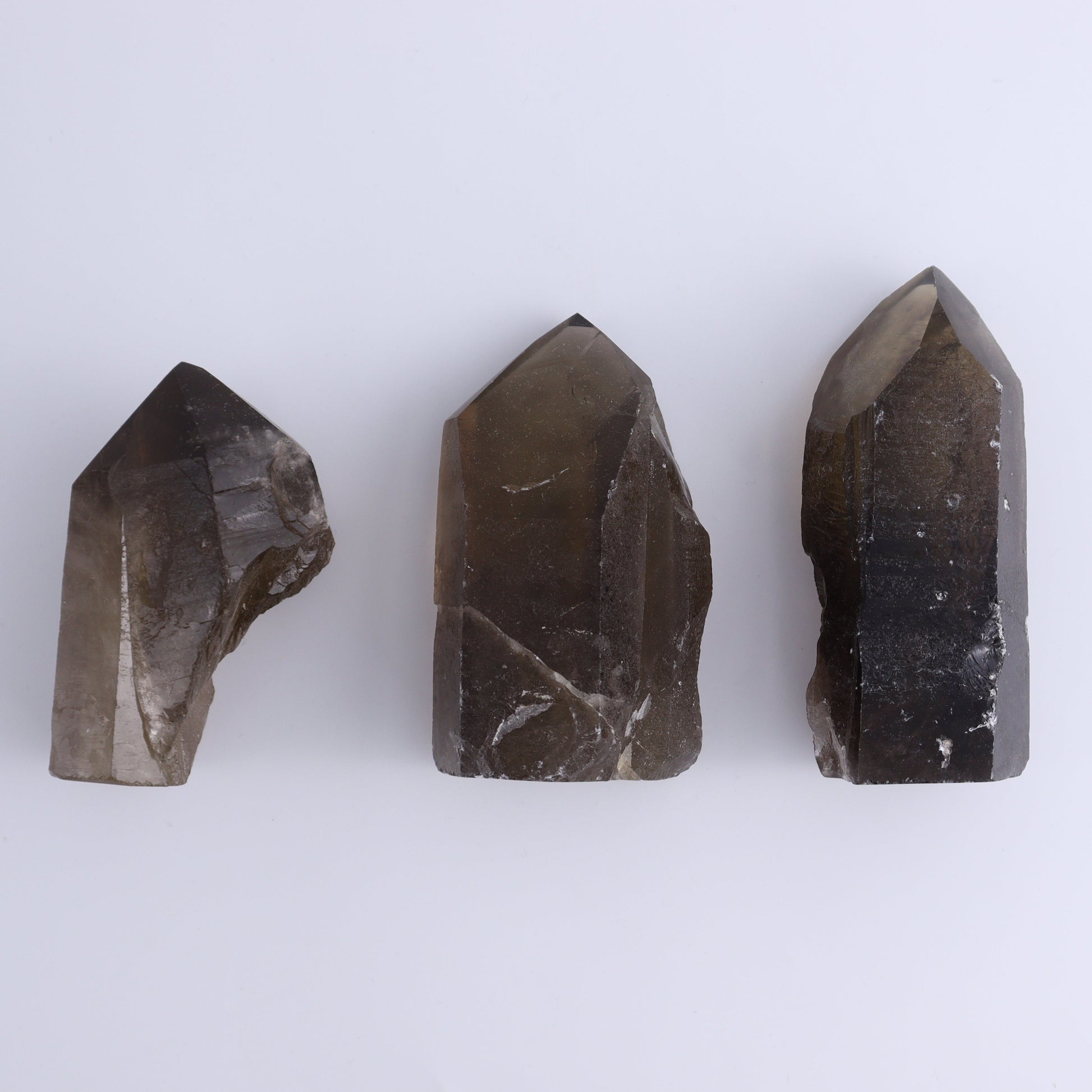 Smoky Quartz Polished Tops Set of 12 - Expert Wholesale and Supplier of Wholesale Crystals & Bulk Gemstones, ["Brazil","close_70","Points","Quartz","Smoky Quartz"]