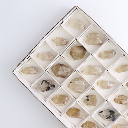 Congo Citrine Set of 24