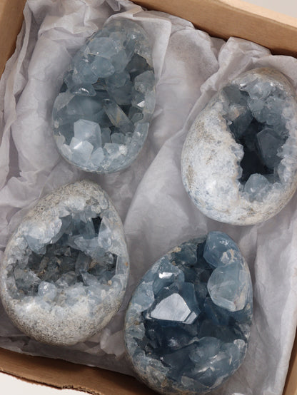 Celestite Eggs Set of 4 - Expert Supplier of Wholesale Crystals & Bulk Gemstones