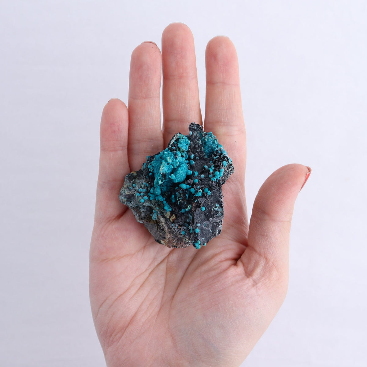 Chrysocolla on Quartz Roughs Set of 6