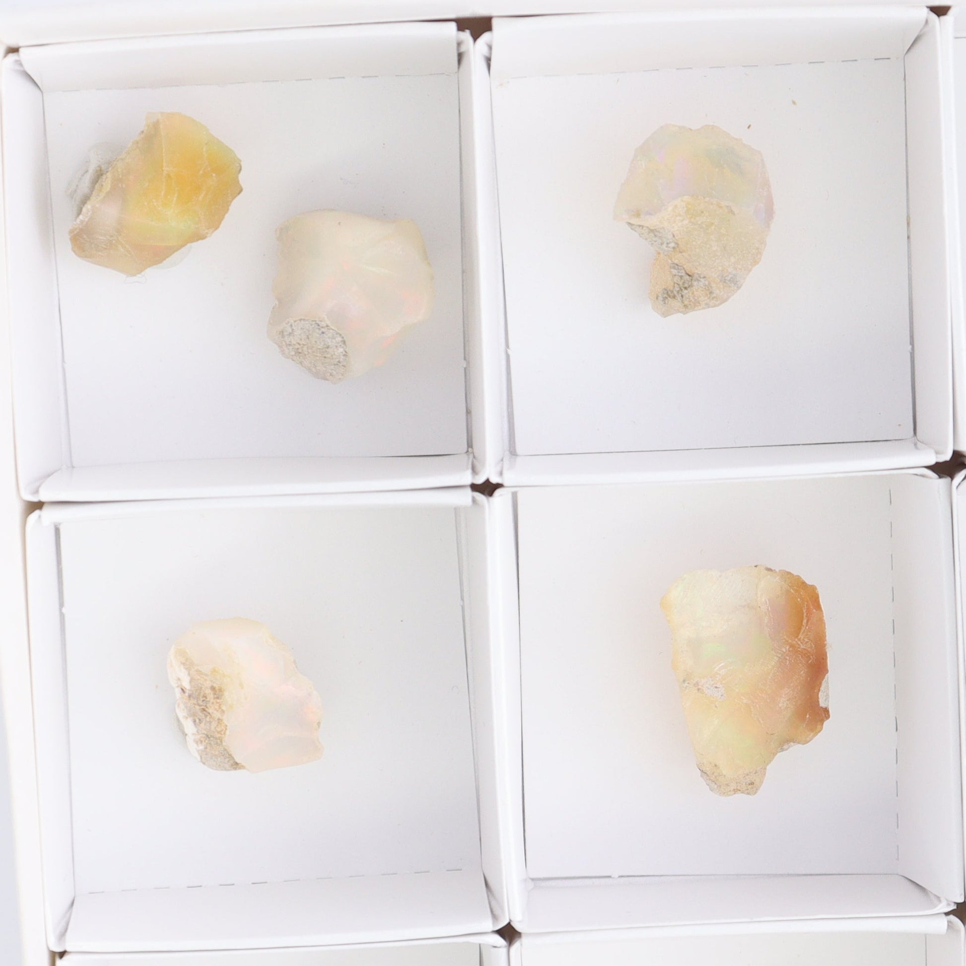 Ethiopian Opal Set of 10 - Expert Wholesale and Supplier of Wholesale Crystals & Bulk Gemstones, ["Ethiopia","ethiopian opal","Opal"]