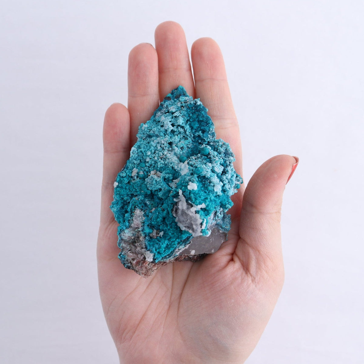 Chrysocolla on Quartz Roughs Set of 6