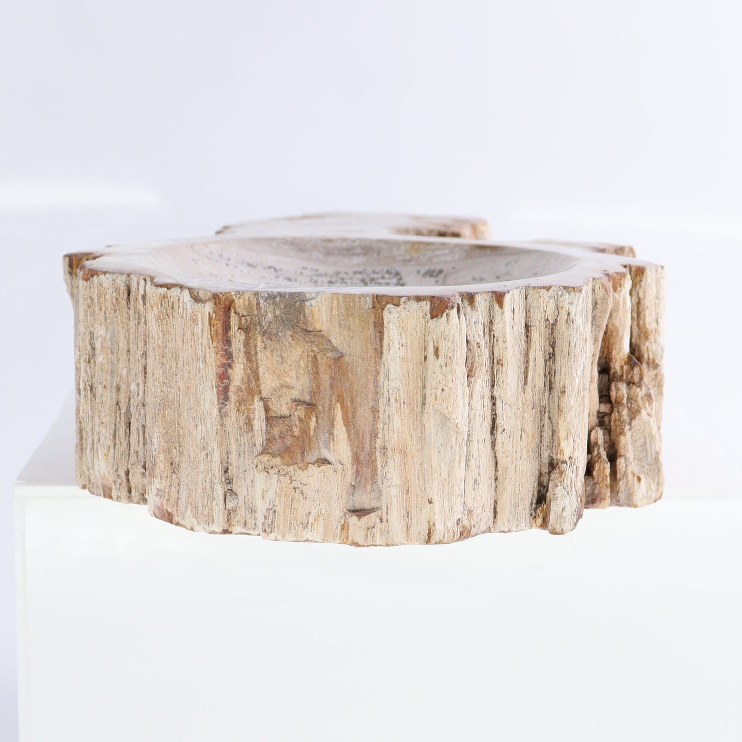 Petrified Wood Bowls Set of 2