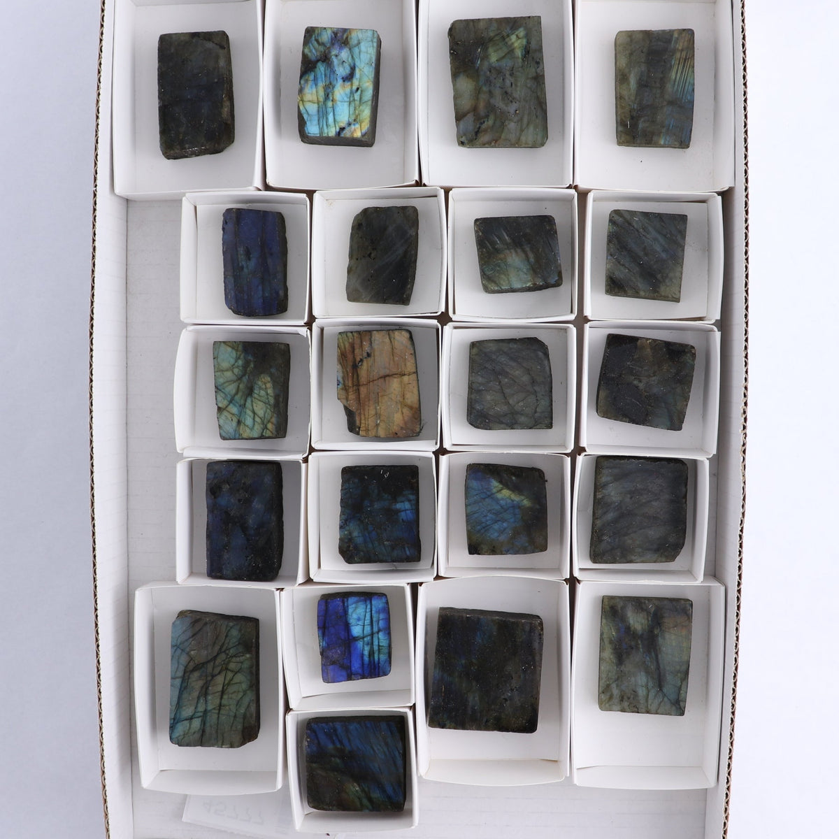 Labradorite Freeform Set of 21