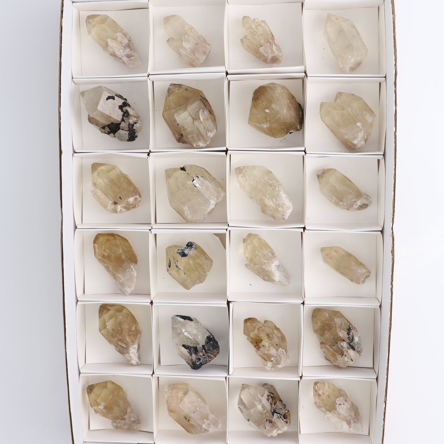 Congo Citrine Set of 24