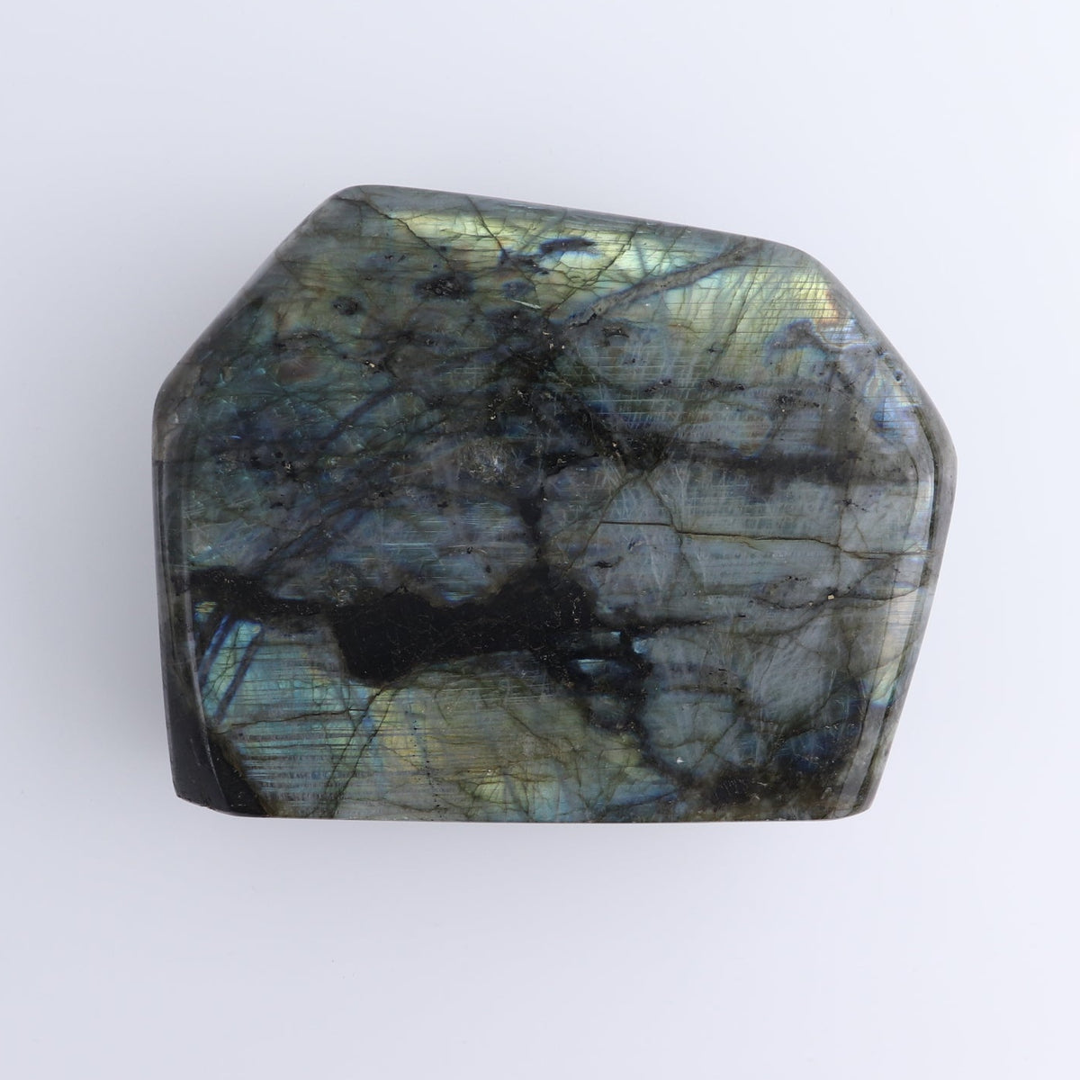 Labradorite Freeform | Mi Esperanza Minerals | Supplier of Crystals and Onyx