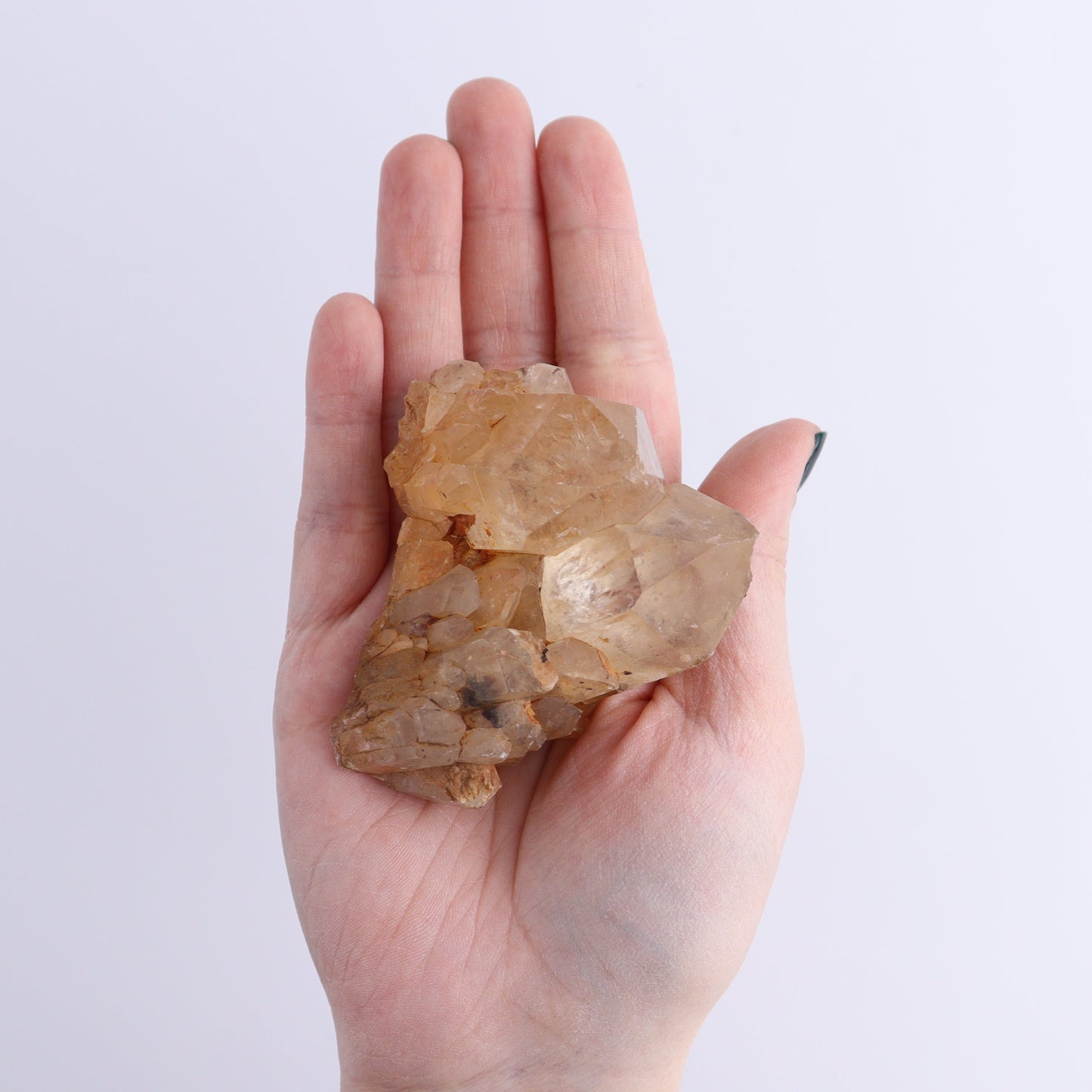 Congo Citrine Set of 12