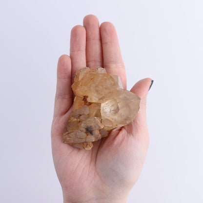 Congo Citrine Set of 12