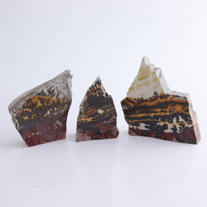 Dendrites Flat Set of 6 - Expert Wholesale and Supplier of Wholesale Crystals & Bulk Gemstones, ["Dendrite","Flats"]
