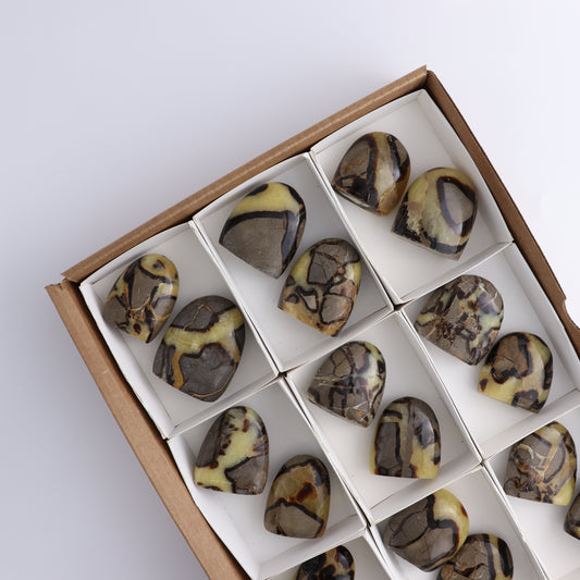 Septarian Freeforms Set of 18 - Expert Wholesale and Supplier of Wholesale Crystals & Bulk Gemstones, ["Flats","Freeforms","Madagascar","Septarian"]